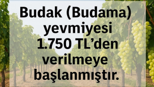 5 ilçede uygulanacak yeni budama ücreti belli oldu