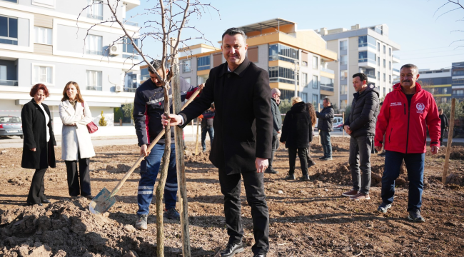 Akhisar belediyesi meyve bahçesi projesi