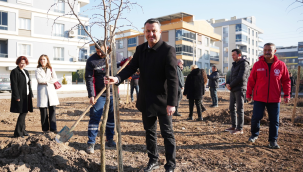 Akhisar belediyesi meyve bahçesi projesi