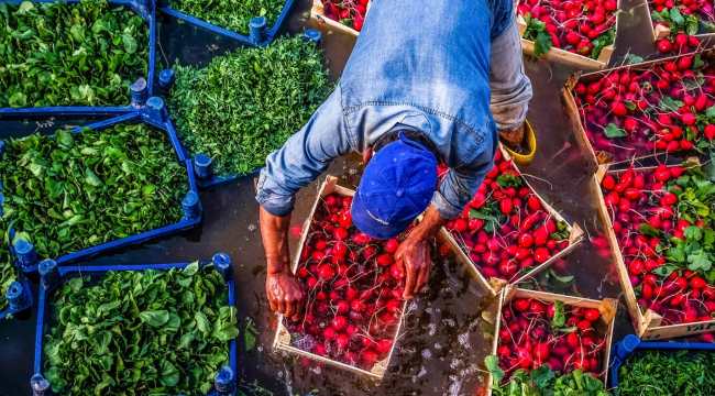 B-reçete sistemi başlıyor