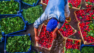 B-reçete sistemi başlıyor