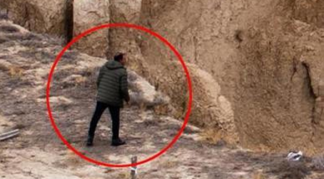 Bitmeyen kabus! AFAD raporladı: 3 ilde görüldü, sayı 684'e ulaştı 