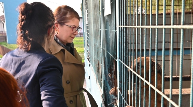 Buca belediyesinde yaşanan krizleri Manisalı Zeynep Çetinkaya, çözecek
