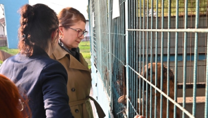 Buca belediyesinde yaşanan krizleri Manisalı Zeynep Çetinkaya, çözecek