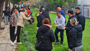 CBÜ Şehzadeler yerleşkesinde "lavanta yolu projesi" hayata geçti