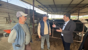 CHP'li Başevirgen 'çocukların beslenme masrafları asgari ücreti geride bıkaktı'