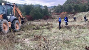 Demirci belediyesi arazisine ceviz,zeytin ve badem dikimine başladı
