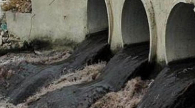 İzmir körfezi ve Gediz nehri tehlikede