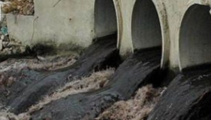 İzmir körfezi ve Gediz nehri tehlikede