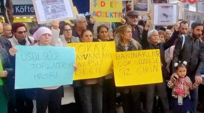 Sokak hayvanları eylemine CHP'li meclis üyeleri de destek verdi