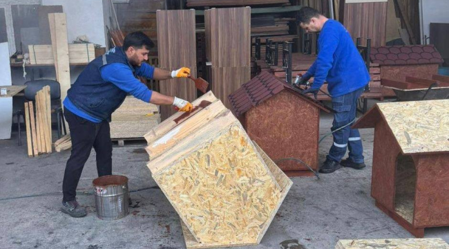 Sokak hayvanları korunaklı kulübelere kavuşuyor