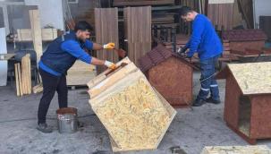 Sokak hayvanları korunaklı kulübelere kavuşuyor