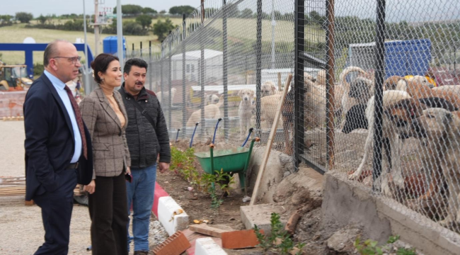 Turgutlu belediyesinden sokak hayvanları için bağış kampanyası