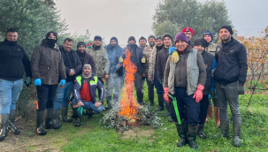 Üzüm bağlarında budama başladı