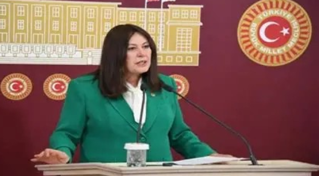 Vestel krizi TBMM taşındı