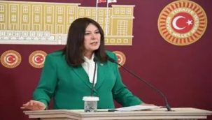 Vestel krizi TBMM taşındı