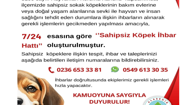 Alaşehir belediyesi sahipsiz köpek ihbar hattı hizmete başladı