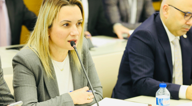 Başkan Mutlu, 45.dönem 2.başkanlar danışma kurulu toplantısına katıldı