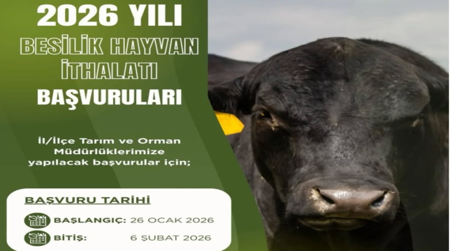Besilik hayvan ithalatı başvuru tarihleri yeniden düzenlendi