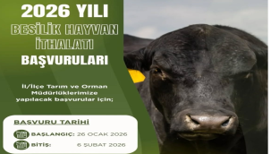 Besilik hayvan ithalatı başvuru tarihleri yeniden düzenlendi