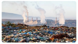 Çevreyi kirletenlere verilecek para cezaları güncellendi