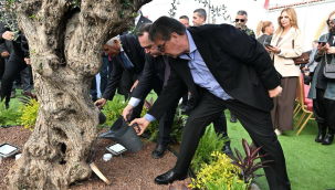 Güzelyurt'da biri Ferdi Zeyrek, diğeri Gülşah Durbay adına iki zeytin fidanı dikildi