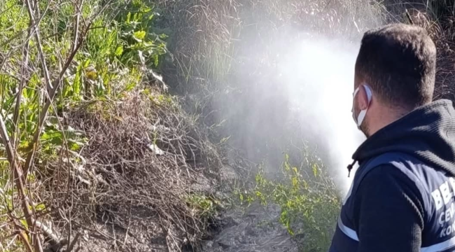 Halk sağlığına zarar veren alanlar ilaçlandı