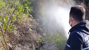 Halk sağlığına zarar veren alanlar ilaçlandı