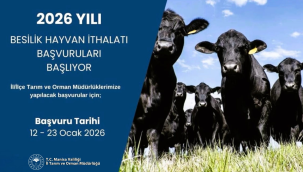 Hayvan ithalatı tarihleri belli oldu