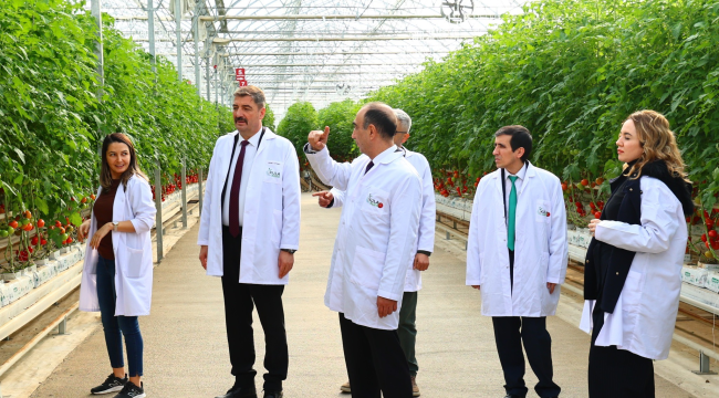 Jeotermal kaynaklı teknolojik sera tesisine ziyaret 