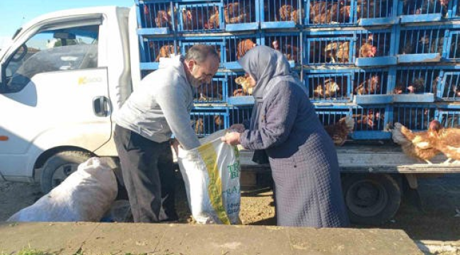 Köy köy gezerek 30 yıldır canlı tavuk satıyor