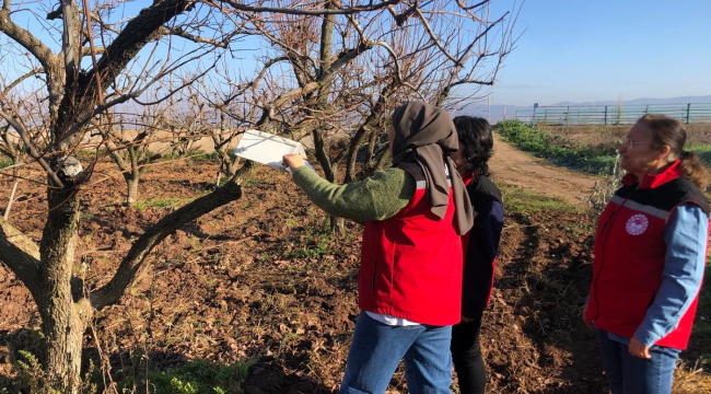 Saha çalışmaları aralıksız sürüyor