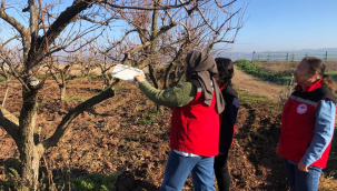 Saha çalışmaları aralıksız sürüyor