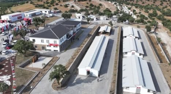  Sarıalan hayvan barınağı kapatılıyor,nakil başlıyor