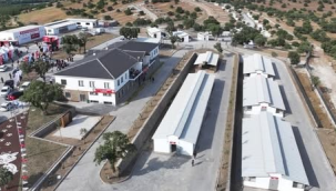  Sarıalan hayvan barınağı kapatılıyor,nakil başlıyor