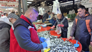 Sarıgöl'de balık pazarında ekipler asgari boy limitleri ve tazelik denetimi yaptı