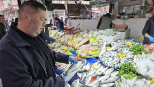 Sarıgöl'de su ürün satış yerleri denetlendi