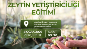 Zeytin yetiştiriciliği eğitimi
