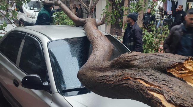 Aşırı yağış ve kuvvetli fırtına zararlara yol açtı
