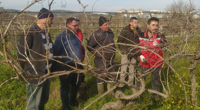  Bağda uygulamalı budama eğitimi