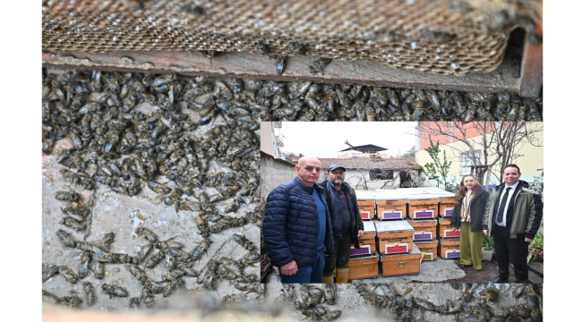 Büyükşehir belediyesi selden etkilenen arıcının yardımına koştu