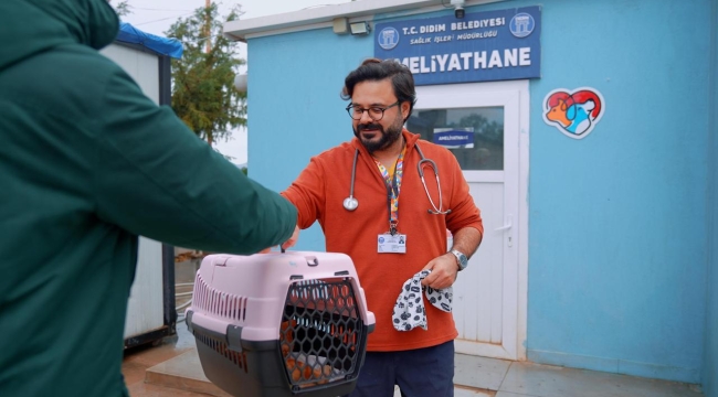 Didim belediyesinden sokak hayvanlarına 24 saat kesintisiz hizmet
