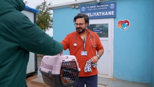 Didim belediyesinden sokak hayvanlarına 24 saat kesintisiz hizmet