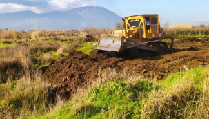 Gümülceli Mahallesi yeşil kuşak oluşturma alanı seçildi