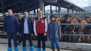 "Hastalıktan ari işletme denetimleri"kriterlerine uyan işletmelere belge