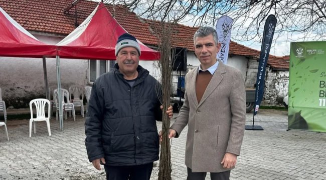 Soma'da üreticilere kiraz anacı (mahlep) dağııtımı gerçekleştirdi