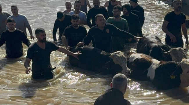 Tüm ilçelerde canla-başla çalışan ekipler aşırı yağışlarda can ve mal kaybına izin vermedi