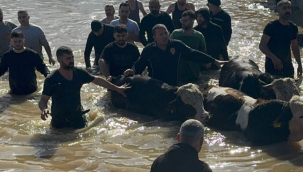 Tüm ilçelerde canla-başla çalışan ekipler aşırı yağışlarda can ve mal kaybına izin vermedi