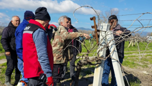 Üreticilere bağda budama eğitimi