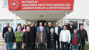 Ziyarette zeytin yetiştirme masaya yatırıldı